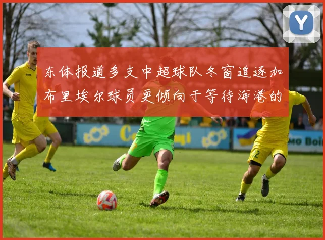 东体报道多支中超球队冬窗追逐加布里埃尔球员更倾向于等待海港的机会
