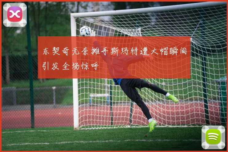 东契奇无奈摊手斯玛特遭大帽瞬间引发全场惊呼