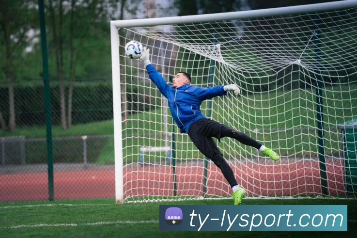 乐鱼体育平台生态图