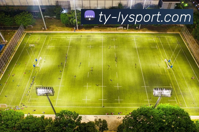 乐鱼体育APP 封面图